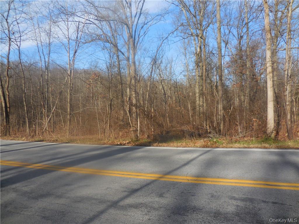 Lakeside Road Out of NYC Newburgh, NY 12550