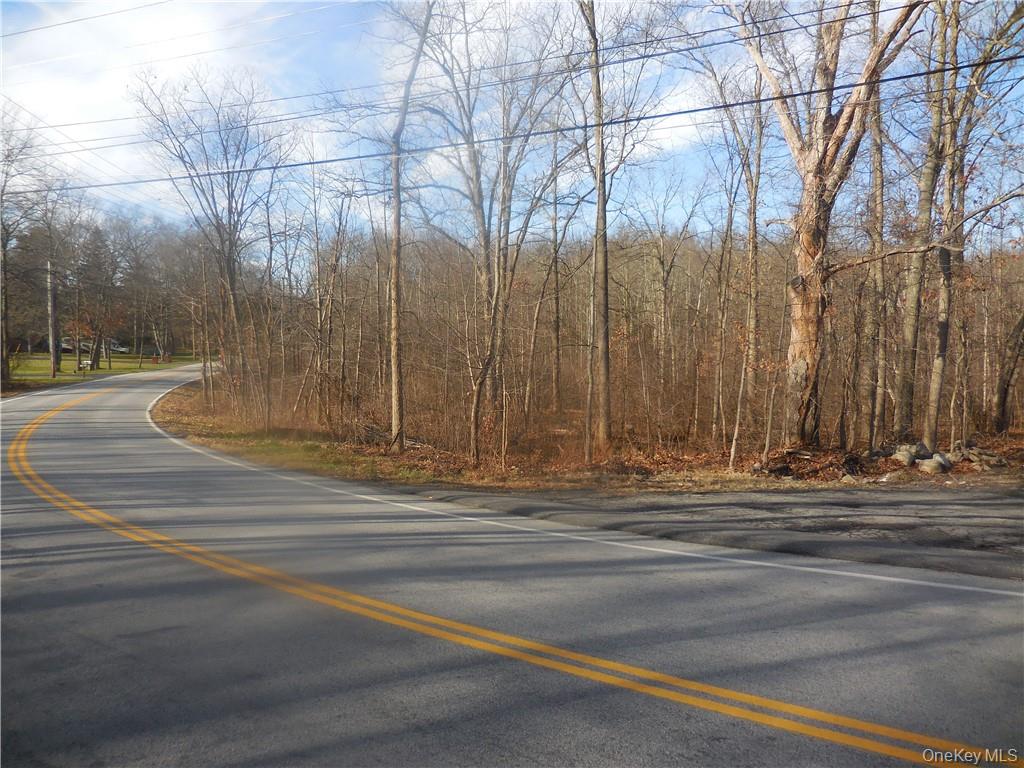 Lakeside Road Out of NYC Newburgh, NY 12550