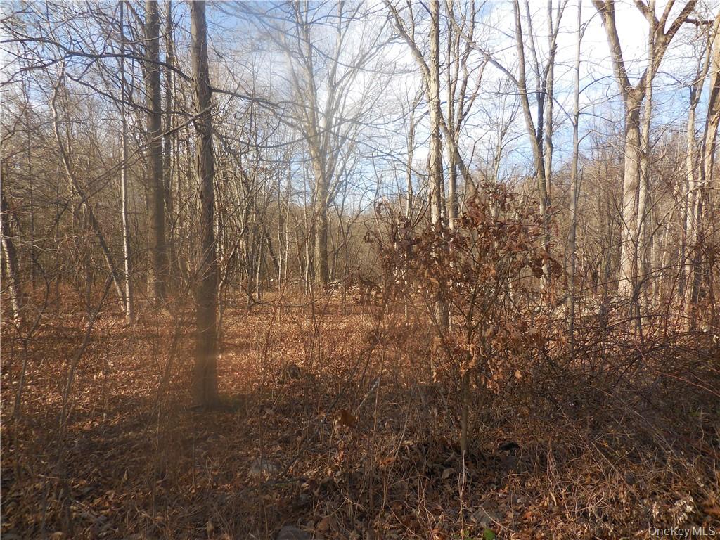 Lakeside Road Out of NYC Newburgh, NY 12550