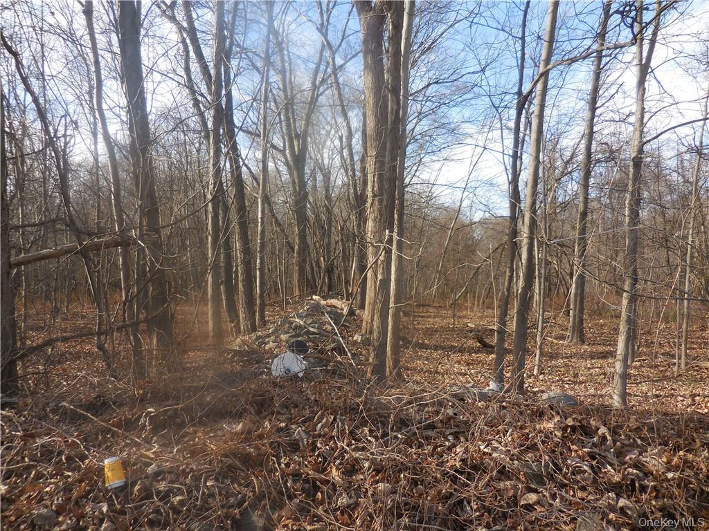 Lakeside Road Out of NYC Newburgh, NY 12550