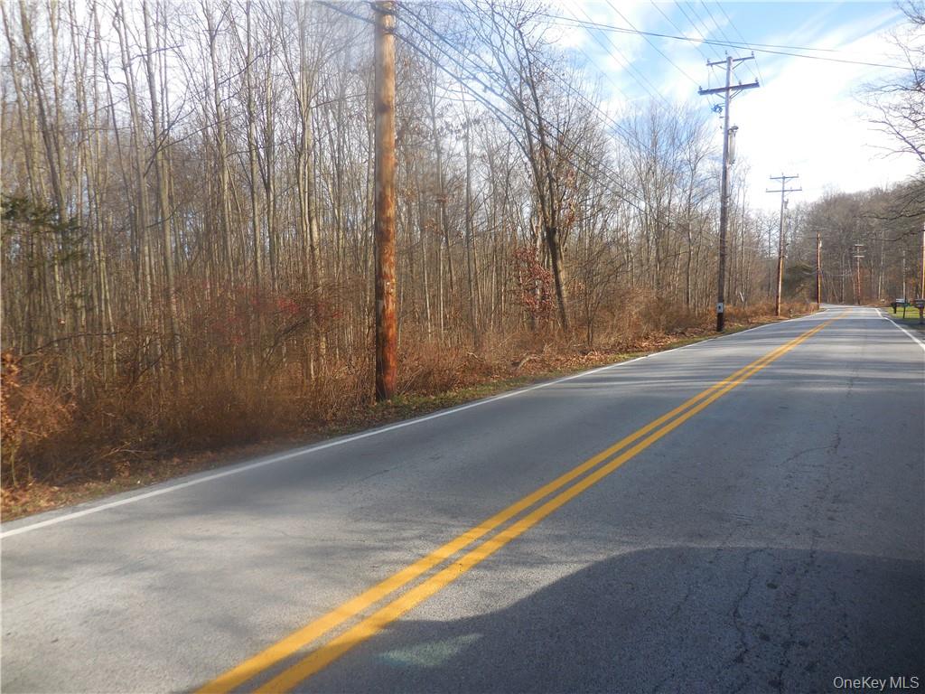 Lakeside Road Out of NYC Newburgh, NY 12550