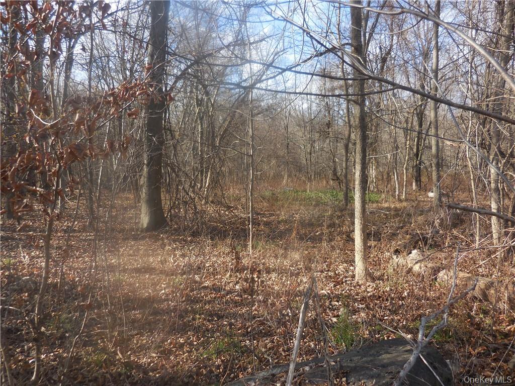 Lakeside Road Out of NYC Newburgh, NY 12550