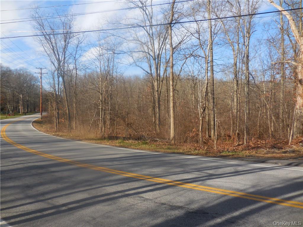 Lakeside Road Out of NYC Newburgh, NY 12550