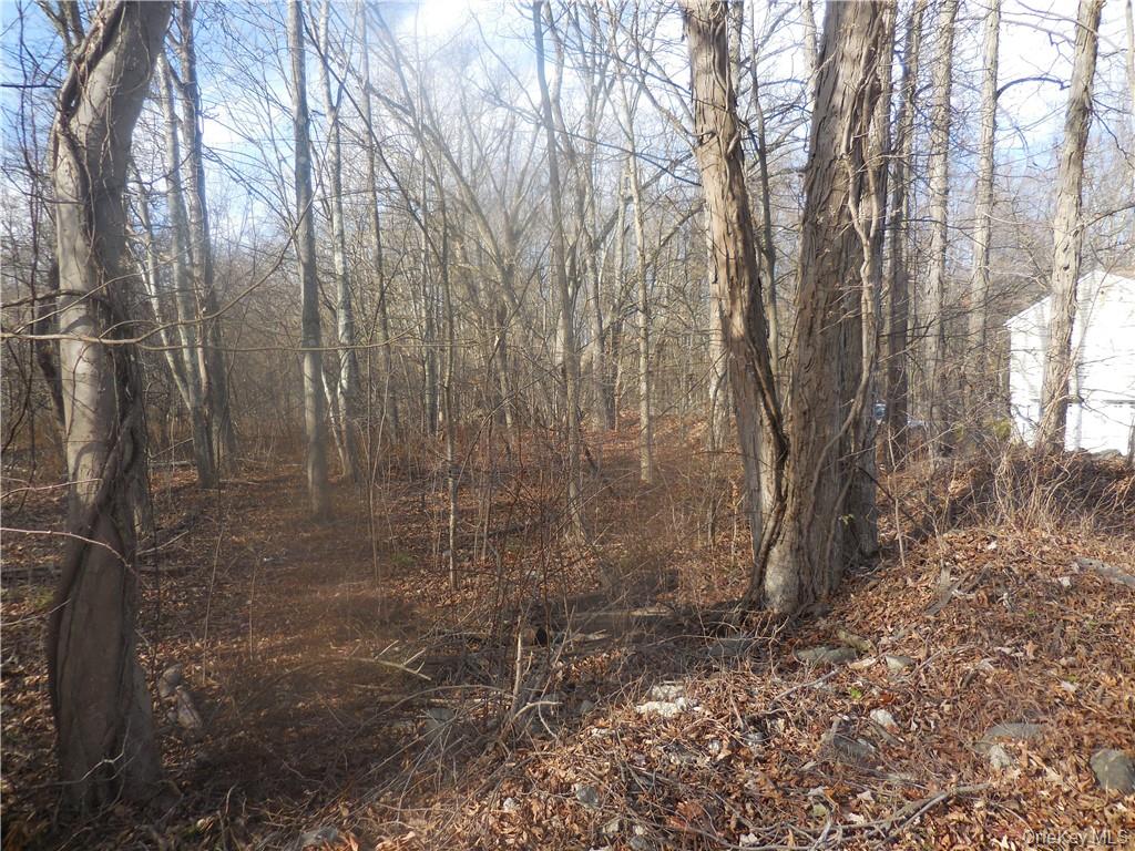 Lakeside Road Out of NYC Newburgh, NY 12550