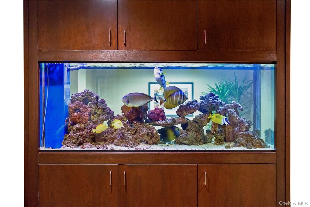 500 Mamaroneck Avenue 320 Harrison Harrison NY 10528