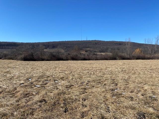 243 Vineyard Avenue Out of NYC Highland, NY 12528