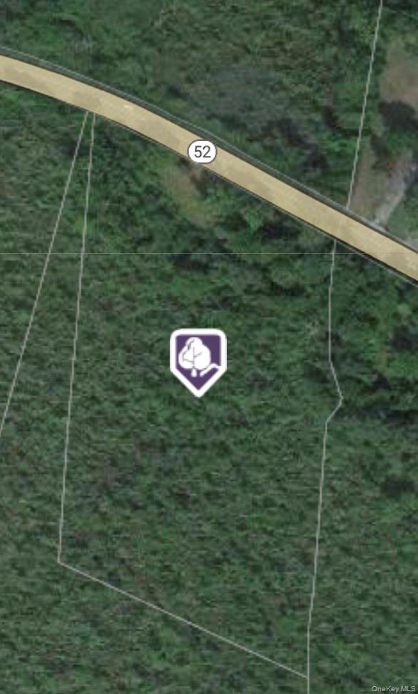 2396 Route 52 Out of NYC Hopewell Junction, NY 12533