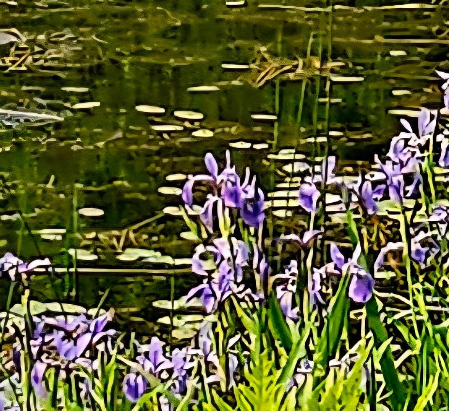 141 Bonnie Brook Road Out of NYC Roscoe, NY 12776