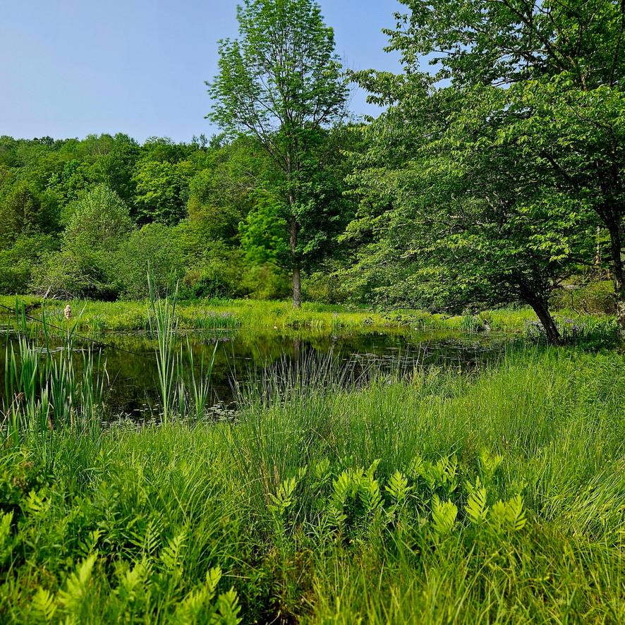 141 Bonnie Brook Road Out of NYC Roscoe, NY 12776