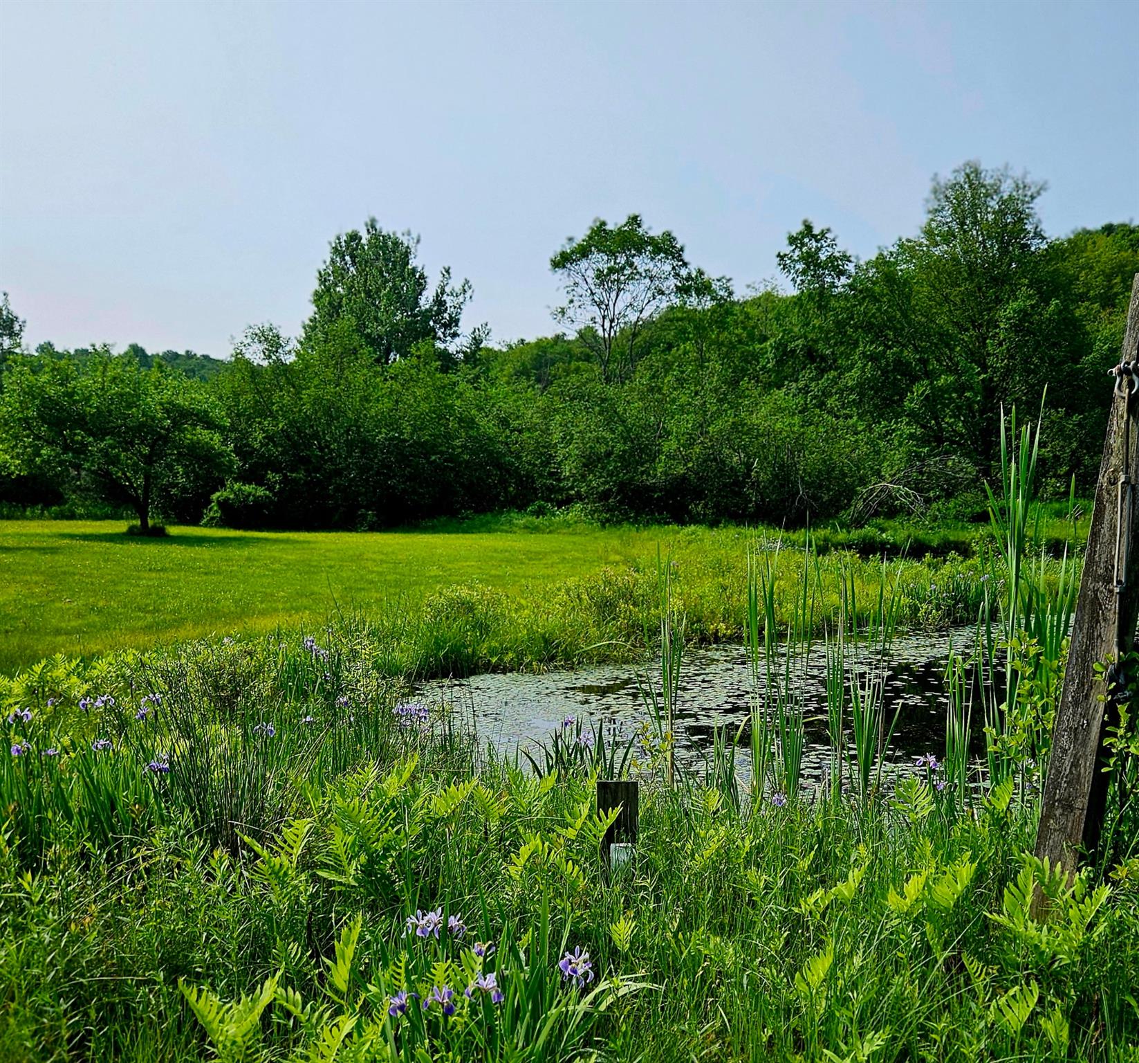 141 Bonnie Brook Road Out of NYC Roscoe, NY 12776