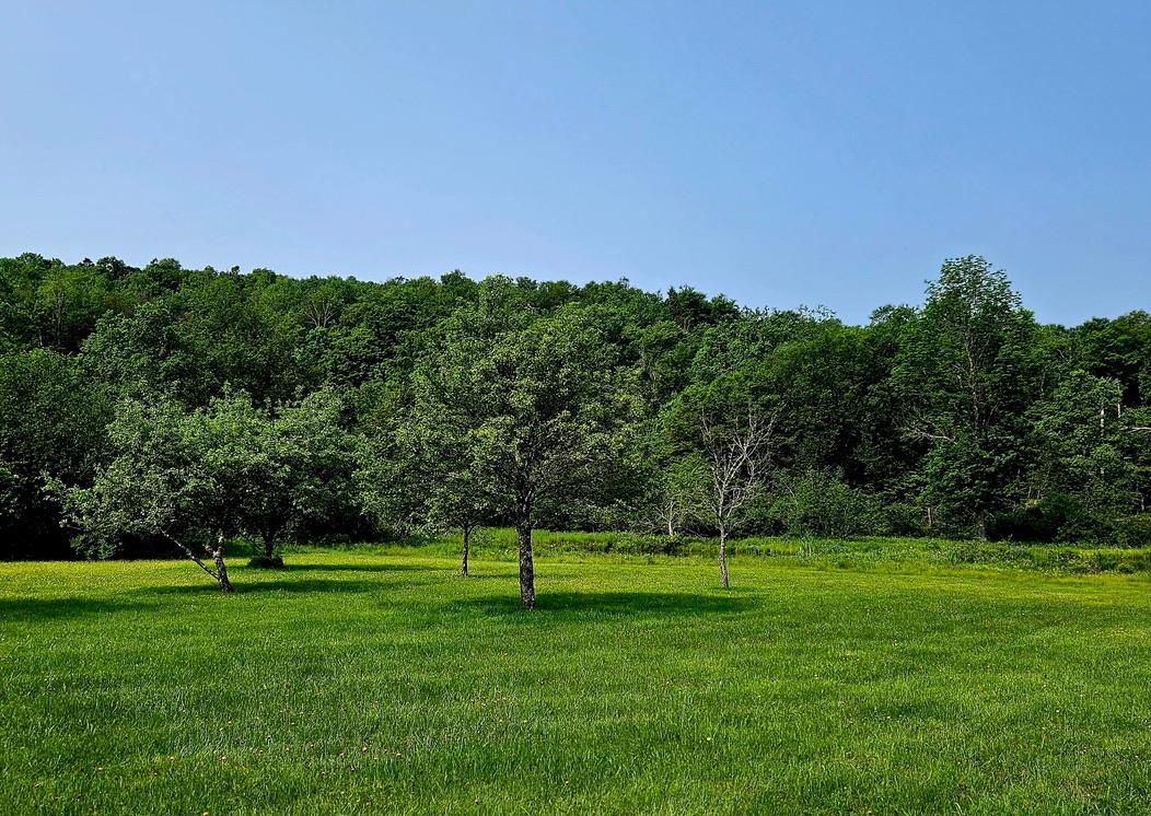 141 Bonnie Brook Road Out of NYC Roscoe, NY 12776