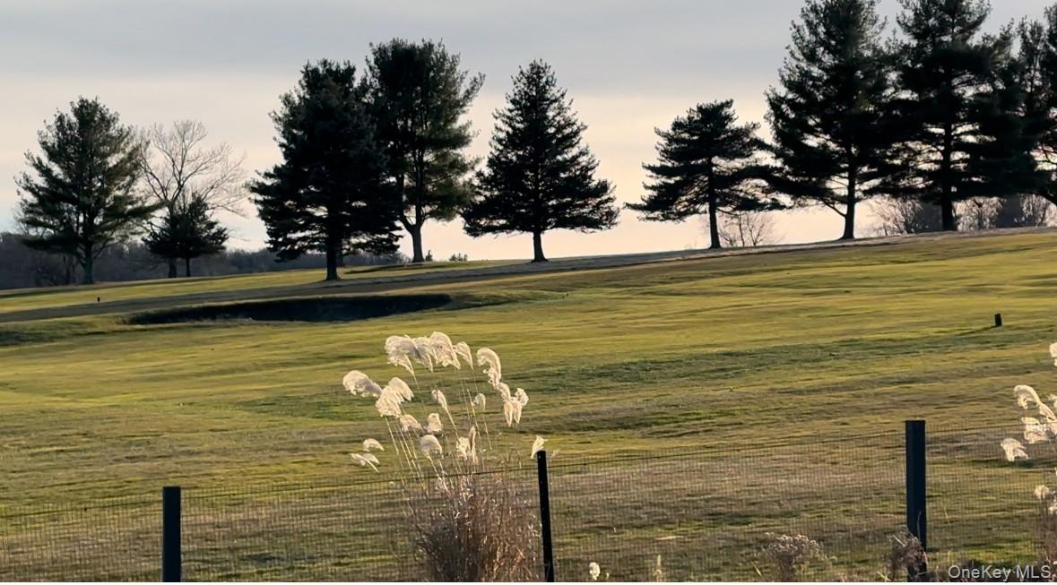 61 Red Fox Lane Out of NYC Copake NY 12521