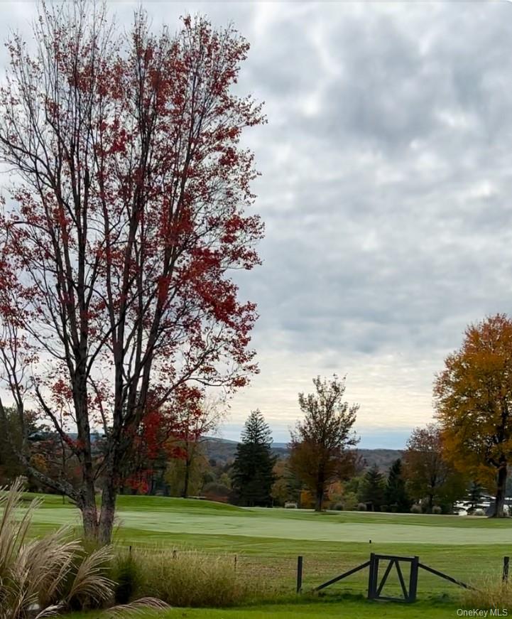 61 Red Fox Lane Out of NYC Copake NY 12521