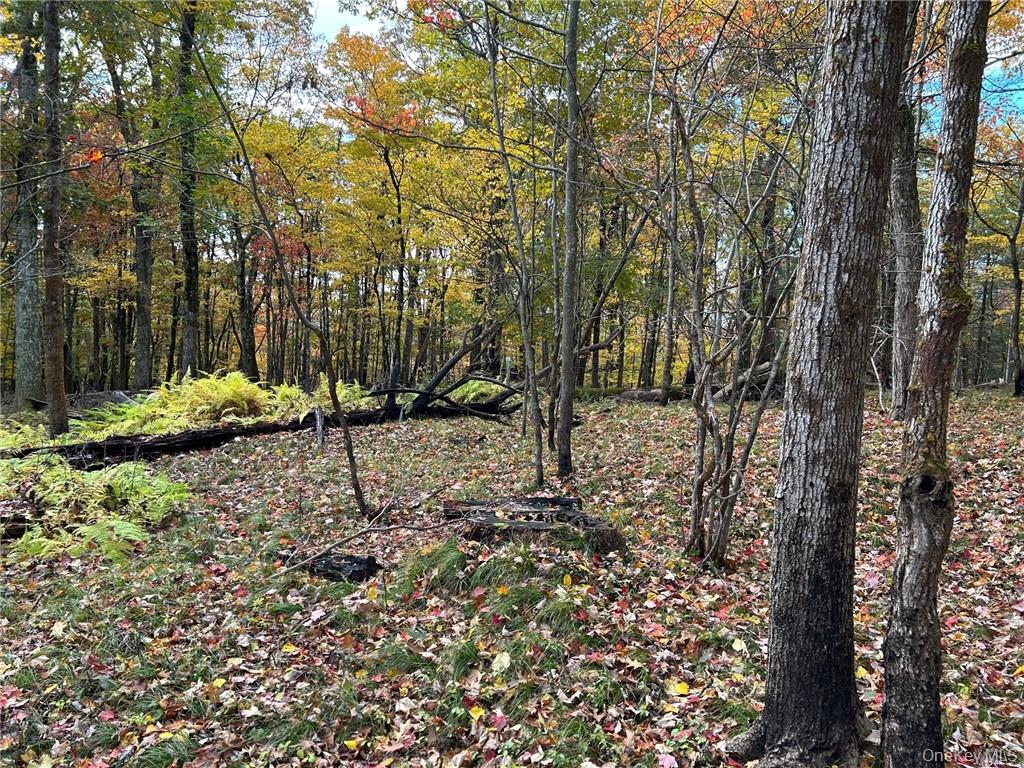 1 West Hill Road Out of NYC Austerlitz, NY 12017