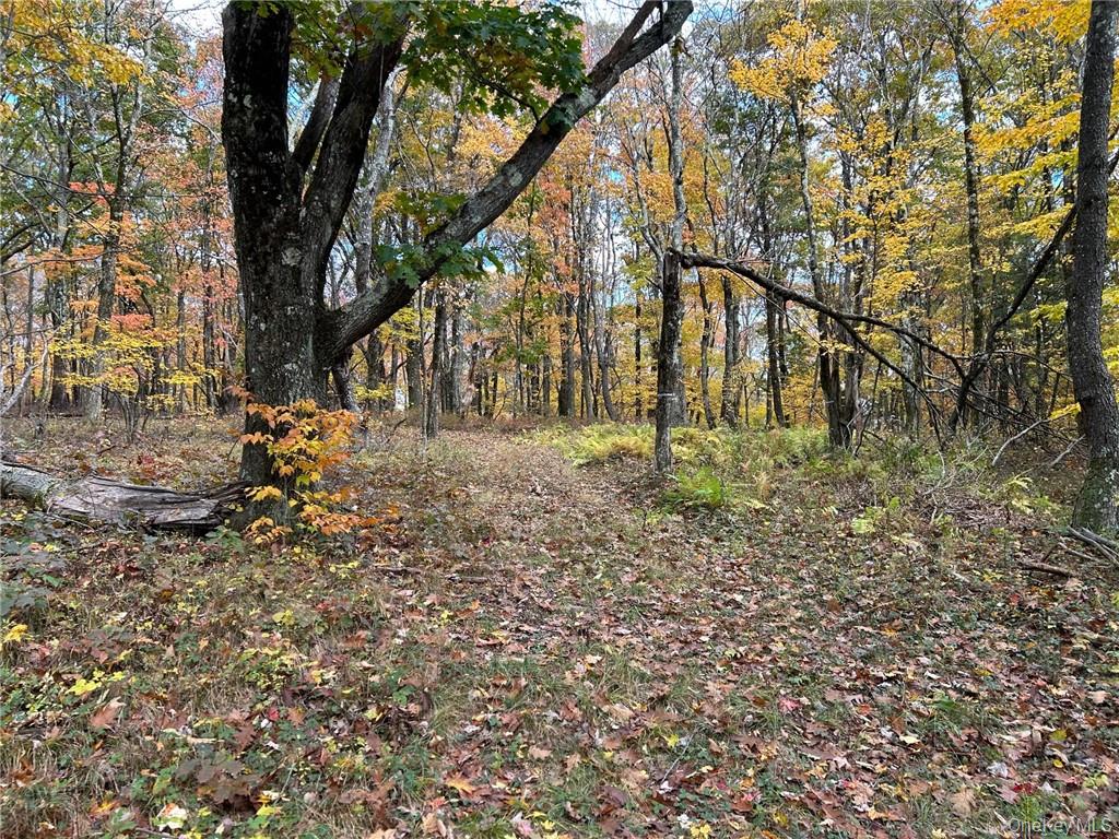 1 West Hill Road Out of NYC Austerlitz, NY 12017