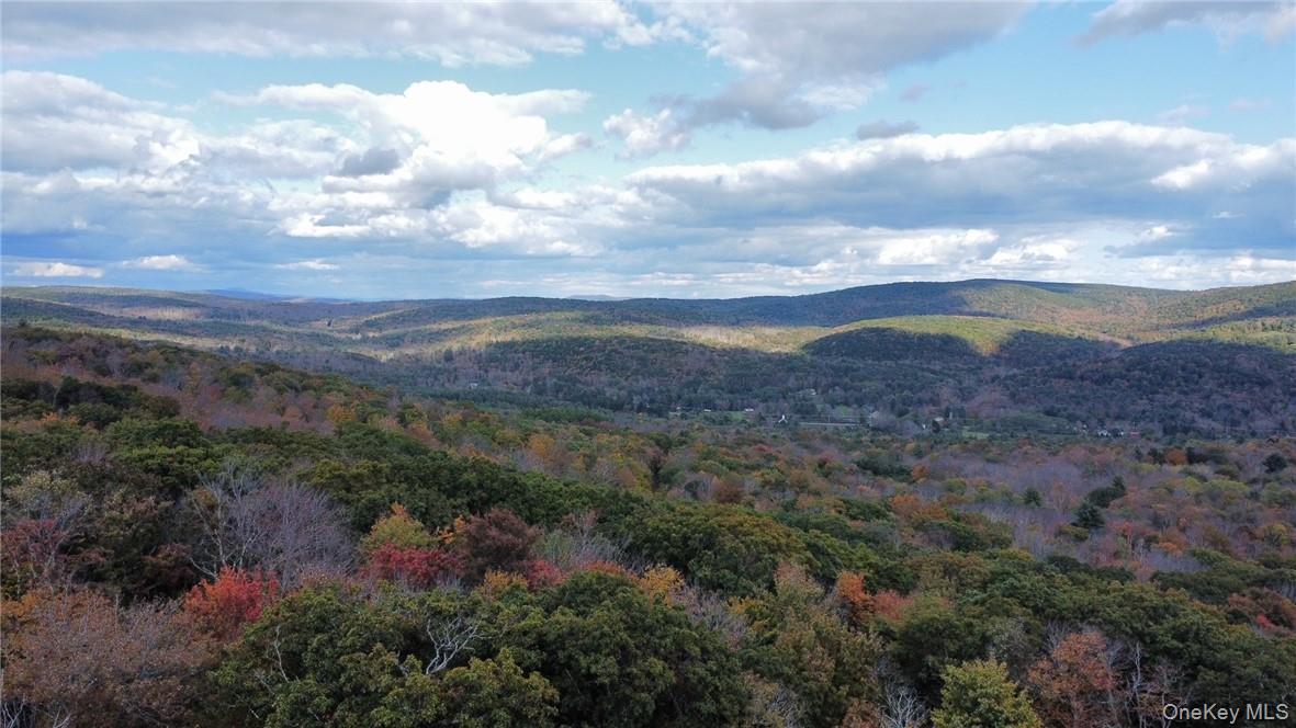 1 West Hill Road Out of NYC Austerlitz, NY 12017