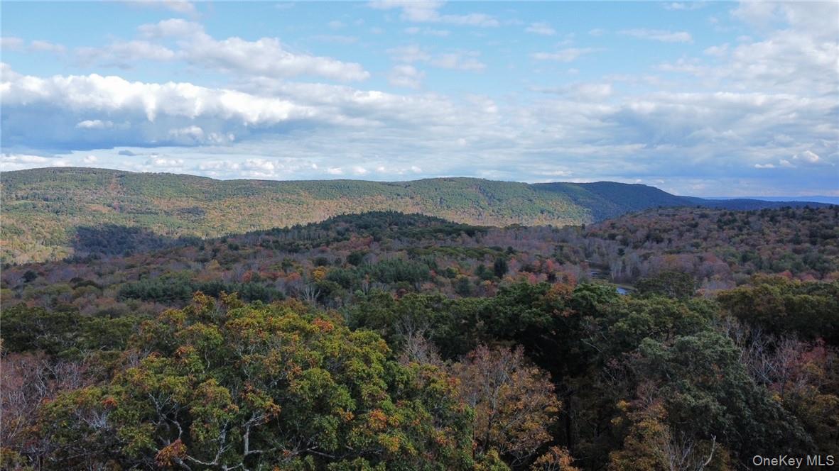 1 West Hill Road Out of NYC Austerlitz, NY 12017