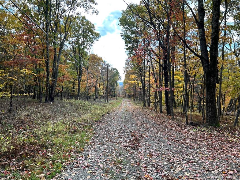 1 West Hill Road Out of NYC Austerlitz, NY 12017