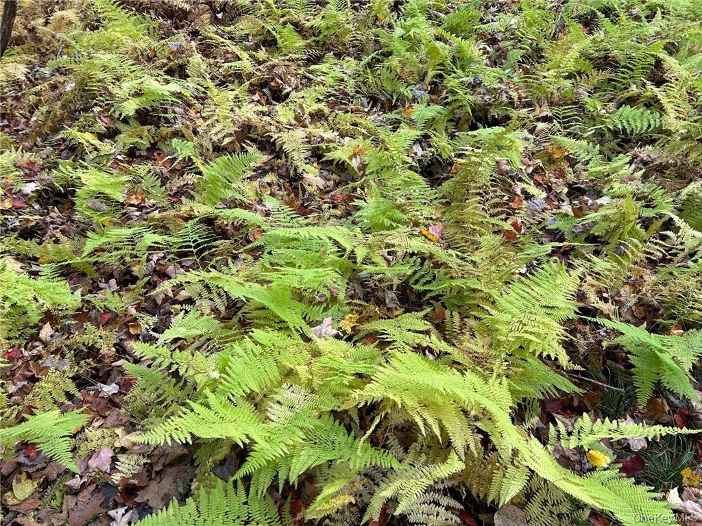 1 West Hill Road Out of NYC Austerlitz, NY 12017