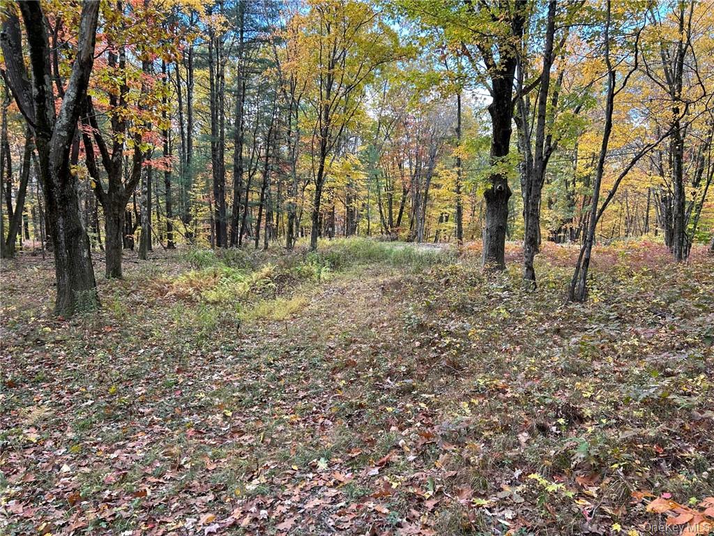 1 West Hill Road Out of NYC Austerlitz, NY 12017