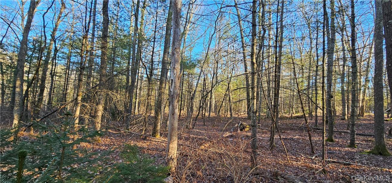 Lot 57.1 Yulan-Barryville Road Out of NYC Barryville, NY 12719