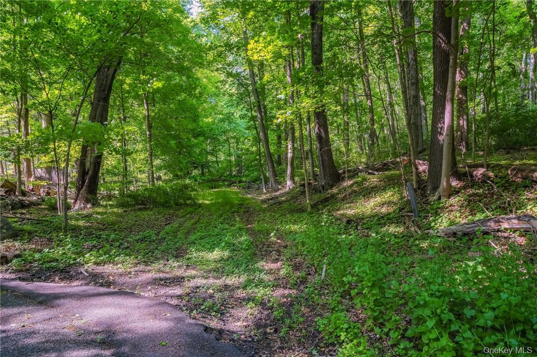 3 Route 100 Katonah Katonah, NY 10536