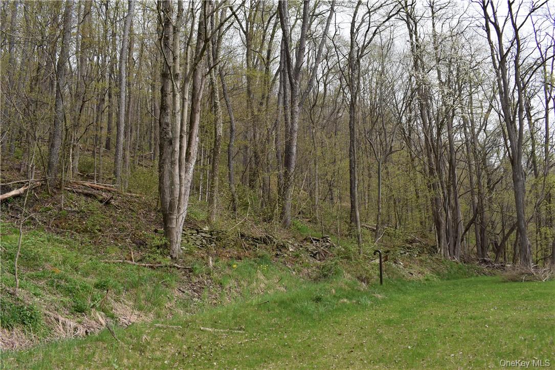 29735 State Highway 10 Out of NYC Walton, NY 13856