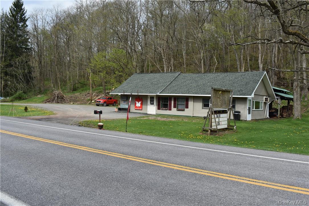 29735 State Highway 10 Out of NYC Walton, NY 13856