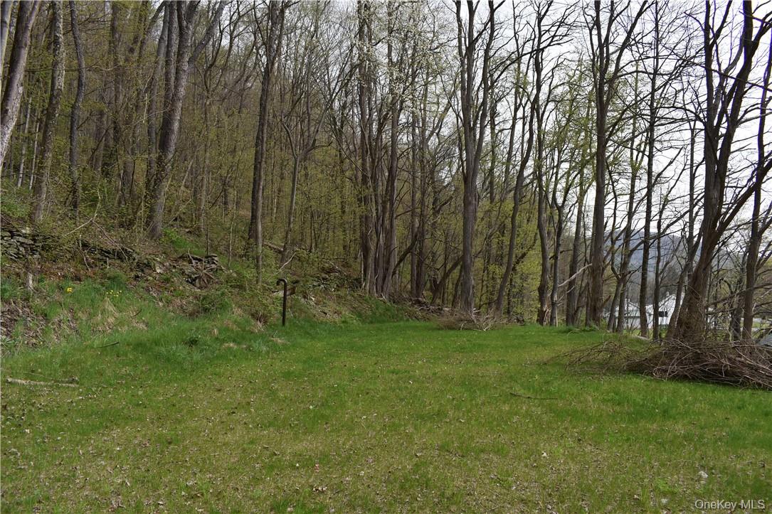 29735 State Highway 10 Out of NYC Walton, NY 13856