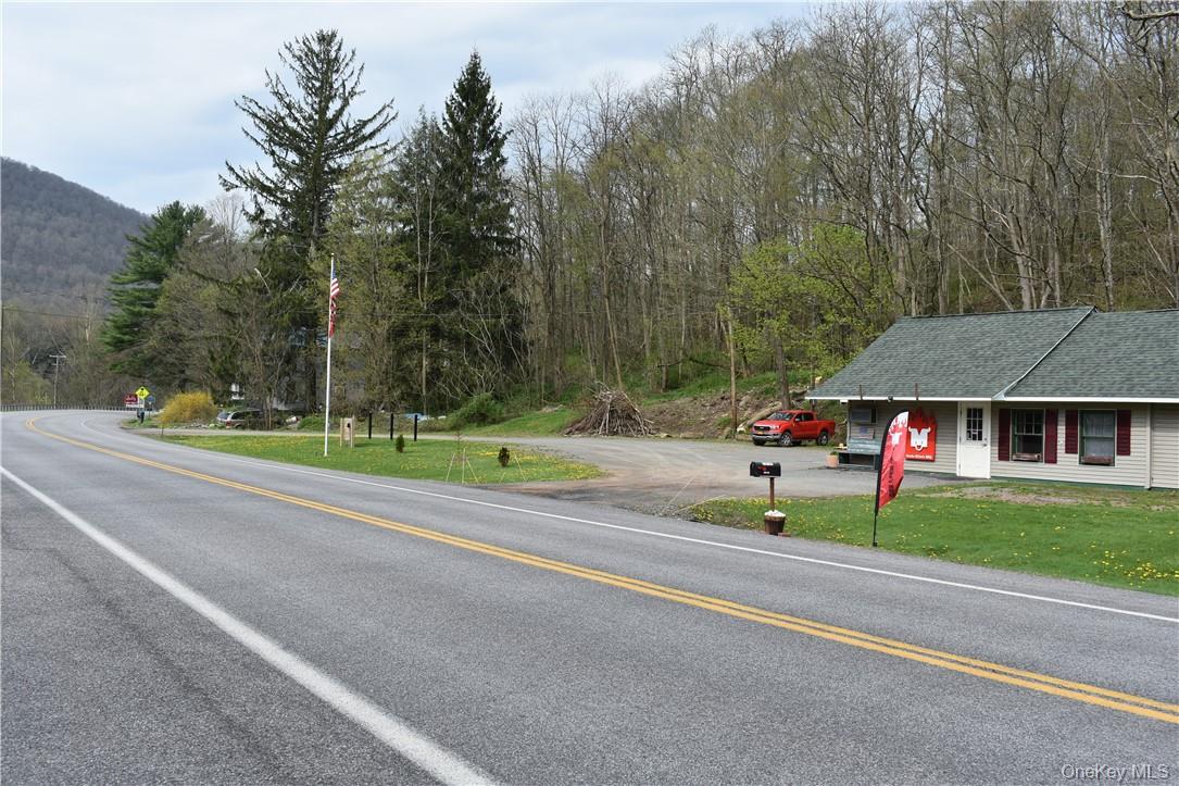 29735 State Highway 10 Out of NYC Walton, NY 13856