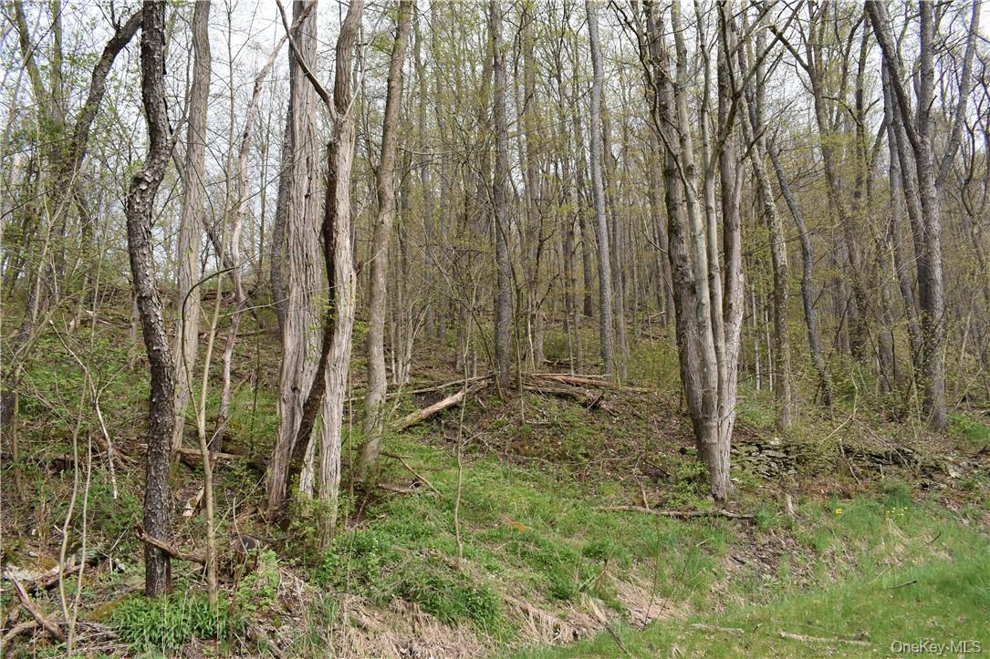 29735 State Highway 10 Out of NYC Walton, NY 13856