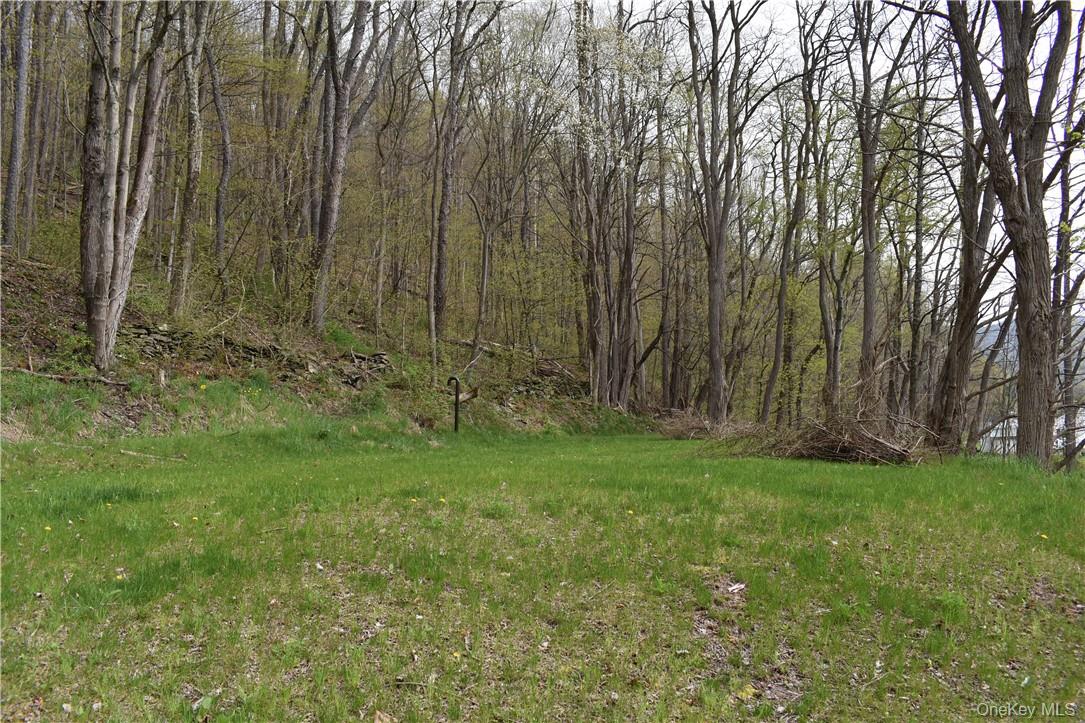 29735 State Highway 10 Out of NYC Walton, NY 13856