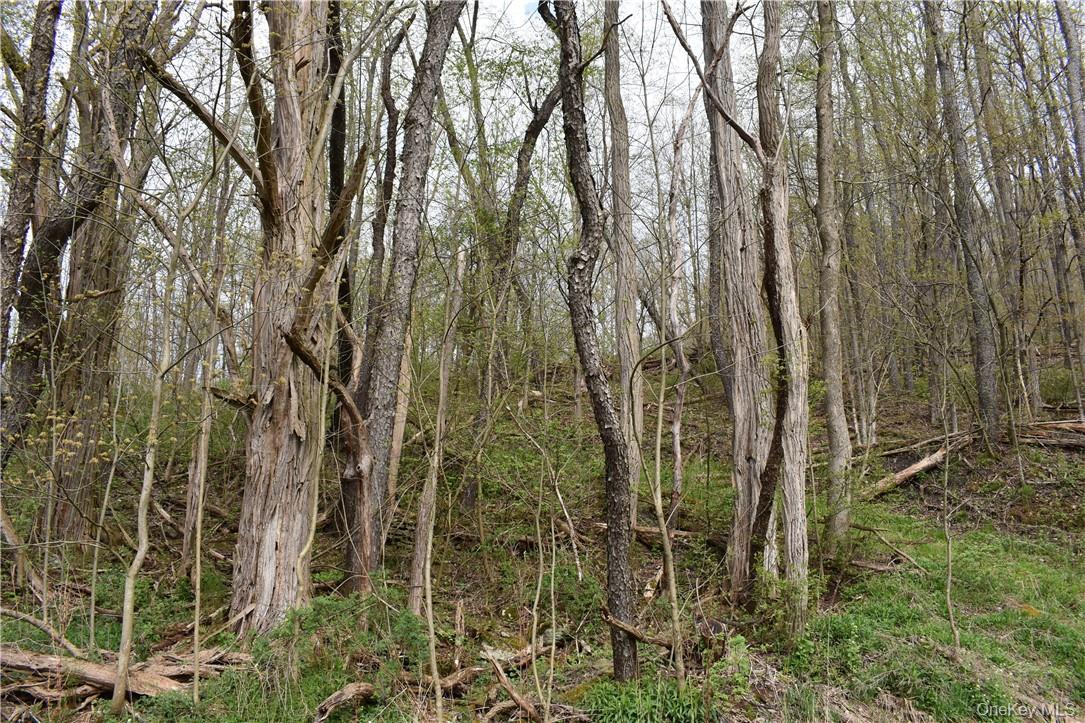 29735 State Highway 10 Out of NYC Walton, NY 13856