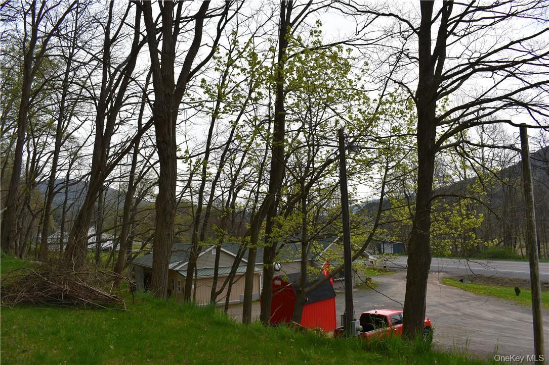 29735 State Highway 10 Out of NYC Walton, NY 13856