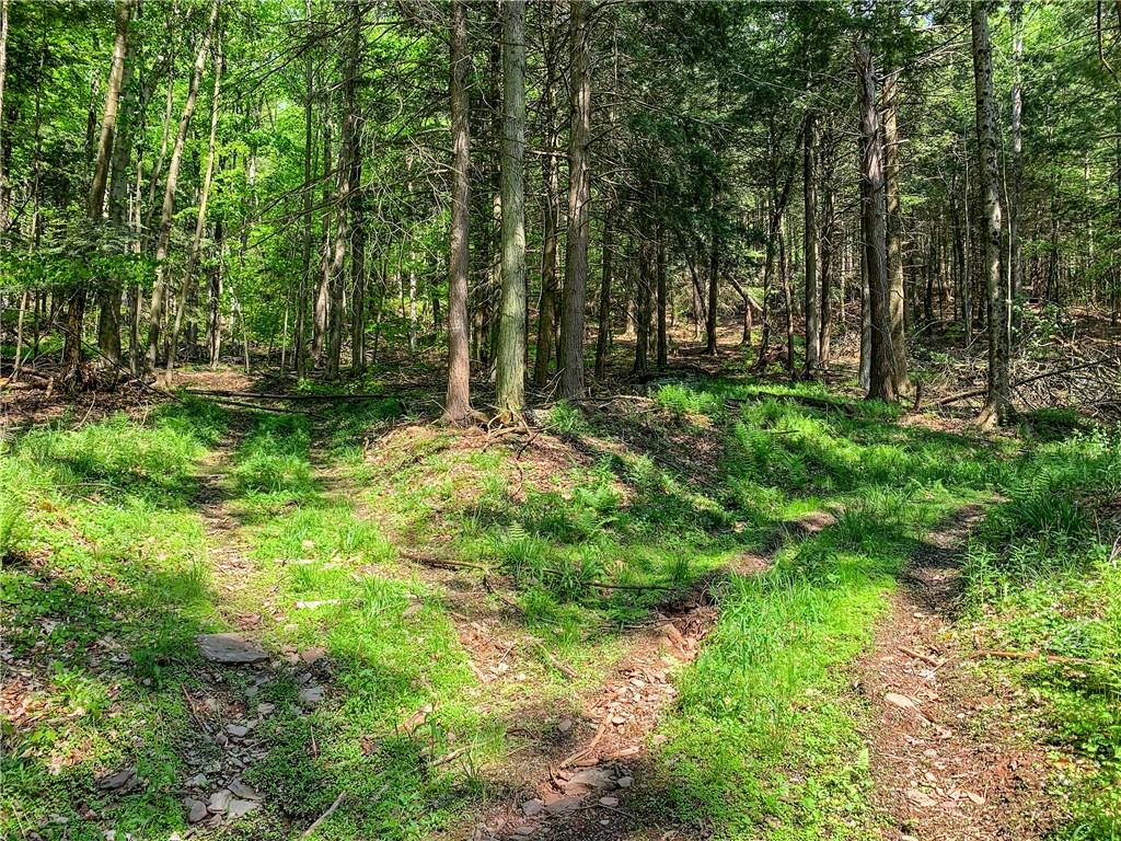 0 County Highway 44 Out of NYC Other, NY 13849