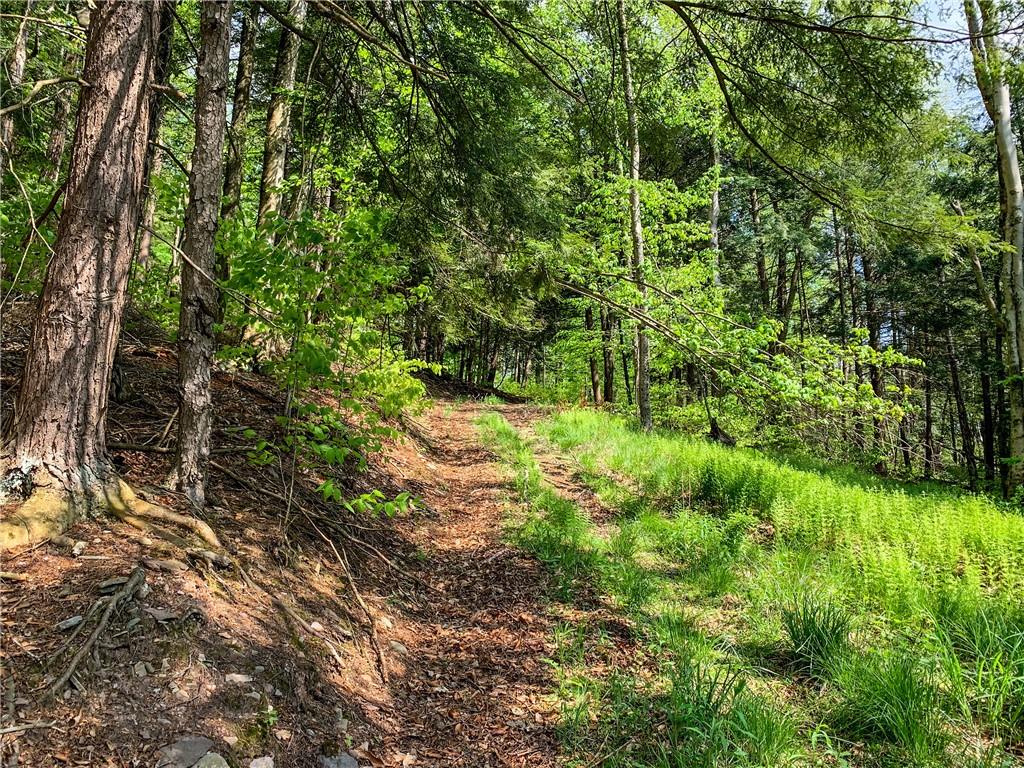 0 County Highway 44 Out of NYC Other, NY 13849