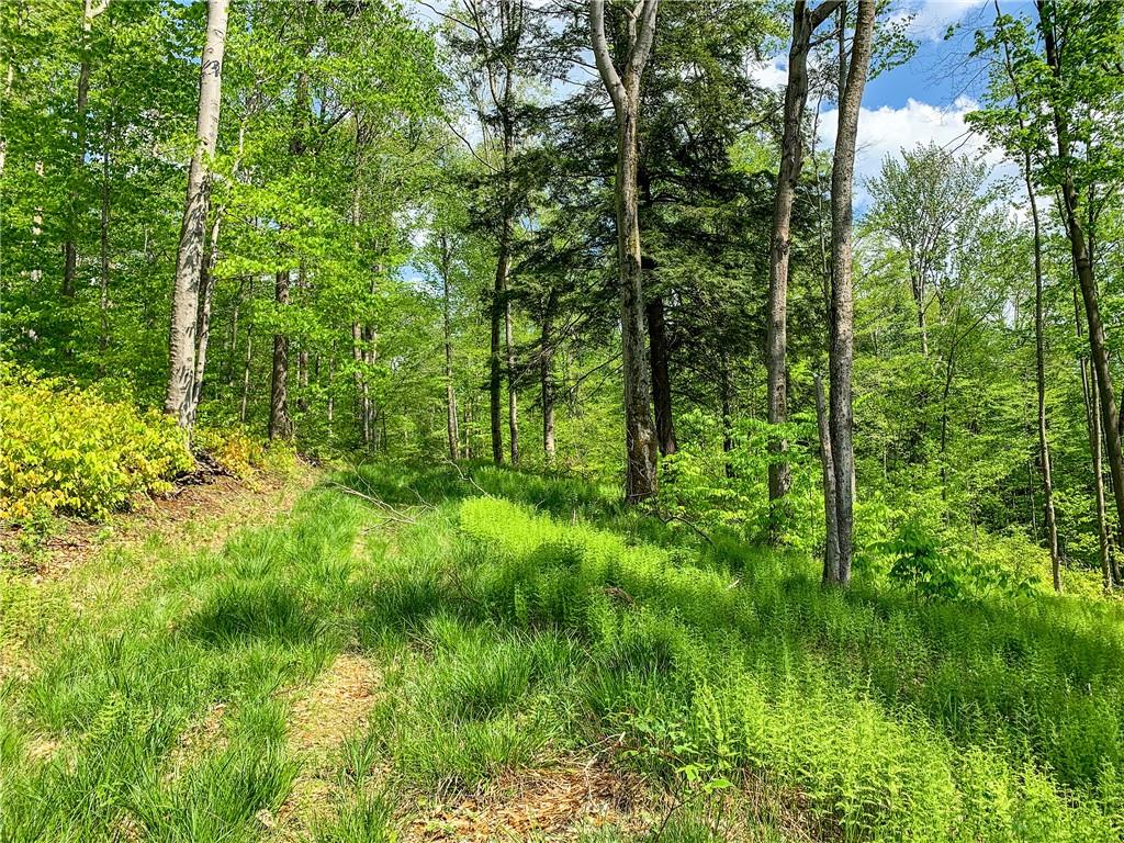 0 County Highway 44 Out of NYC Other, NY 13849