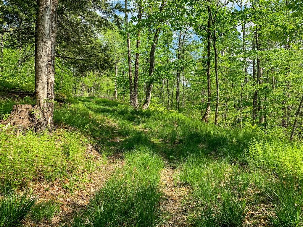 0 County Highway 44 Out of NYC Other, NY 13849