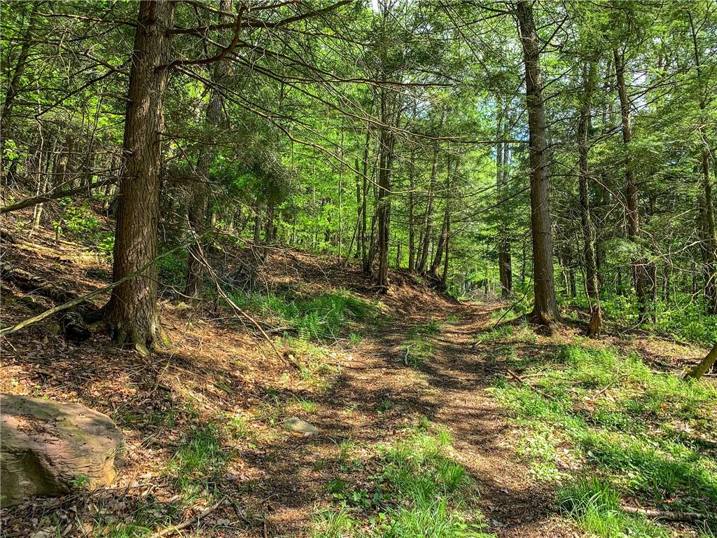 0 County Highway 44 Out of NYC Other, NY 13849