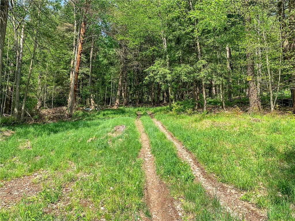 0 County Highway 44 Out of NYC Other, NY 13849