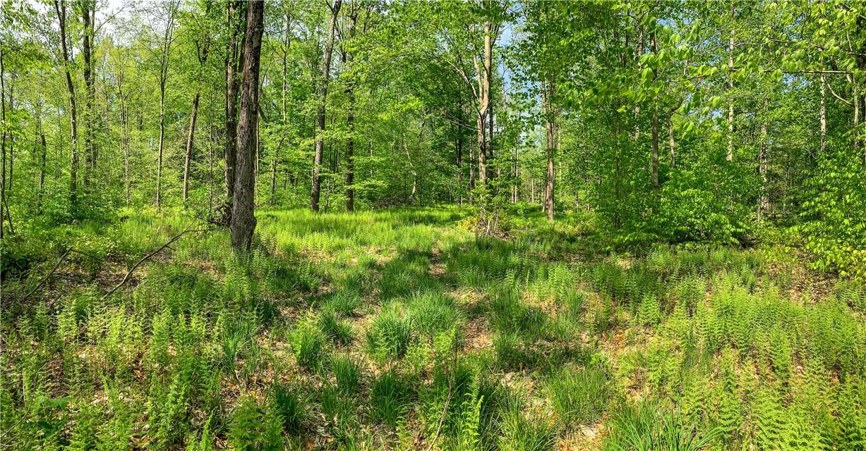 0 County Highway 44 Out of NYC Other, NY 13849