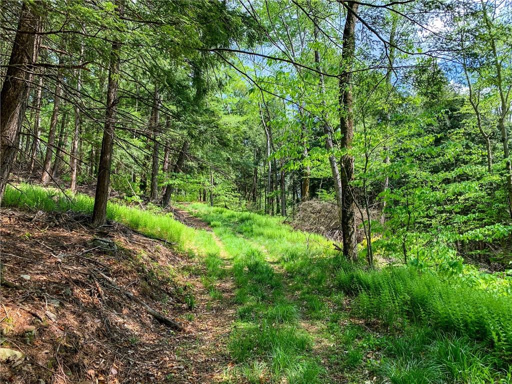 0 County Highway 44 Out of NYC Other, NY 13849