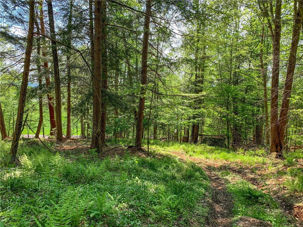 0 County Highway 44 Out of NYC Other, NY 13849