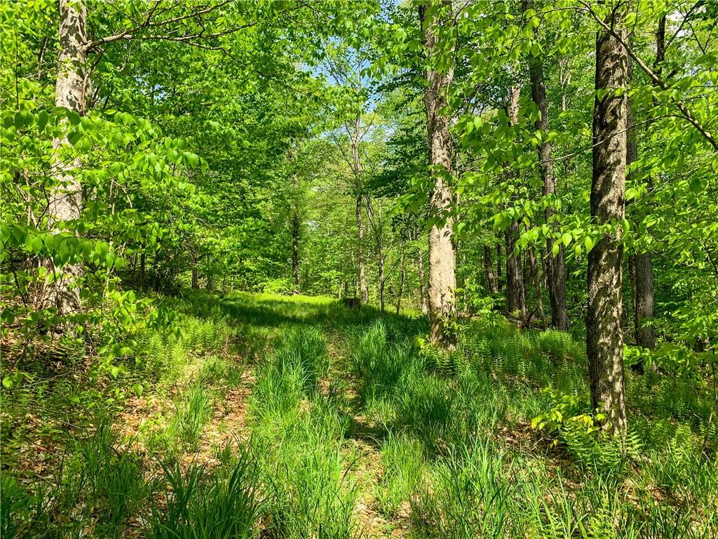 0 County Highway 44 Out of NYC Other, NY 13849