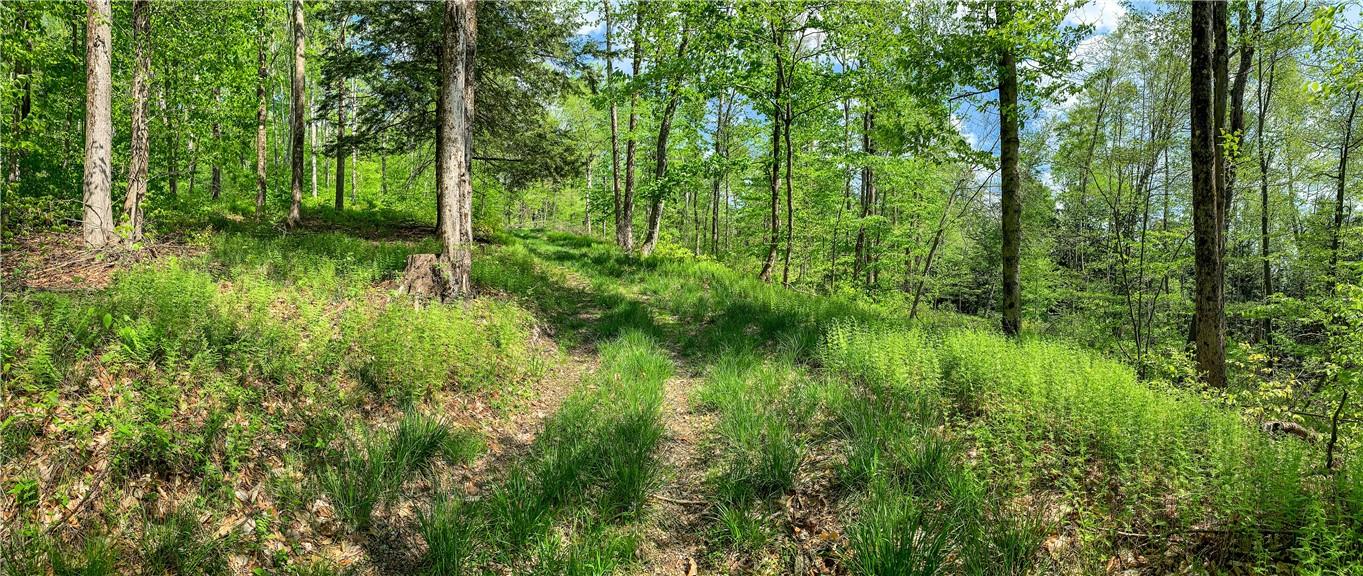 0 County Highway 44 Out of NYC Other, NY 13849