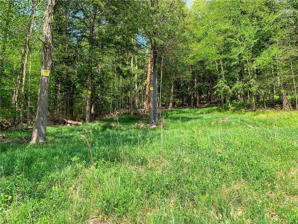 0 County Highway 44 Out of NYC Other, NY 13849