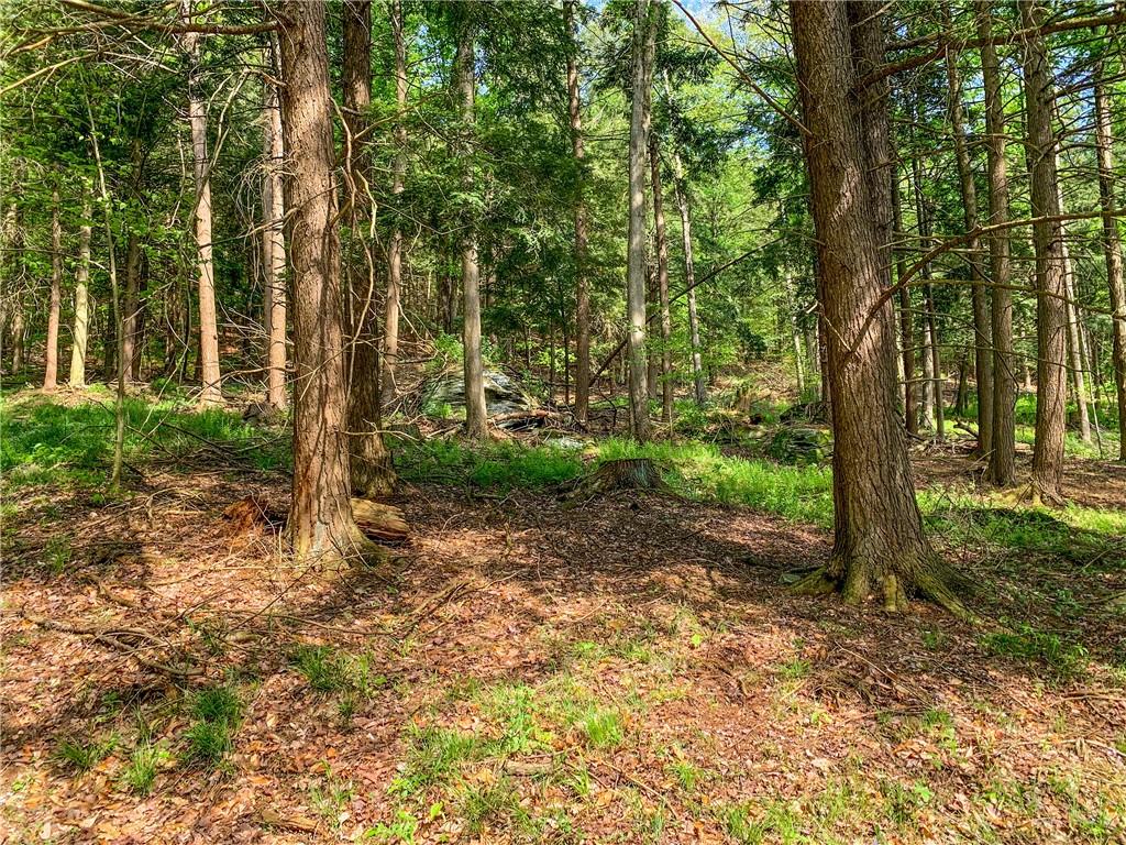 0 County Highway 44 Out of NYC Other, NY 13849