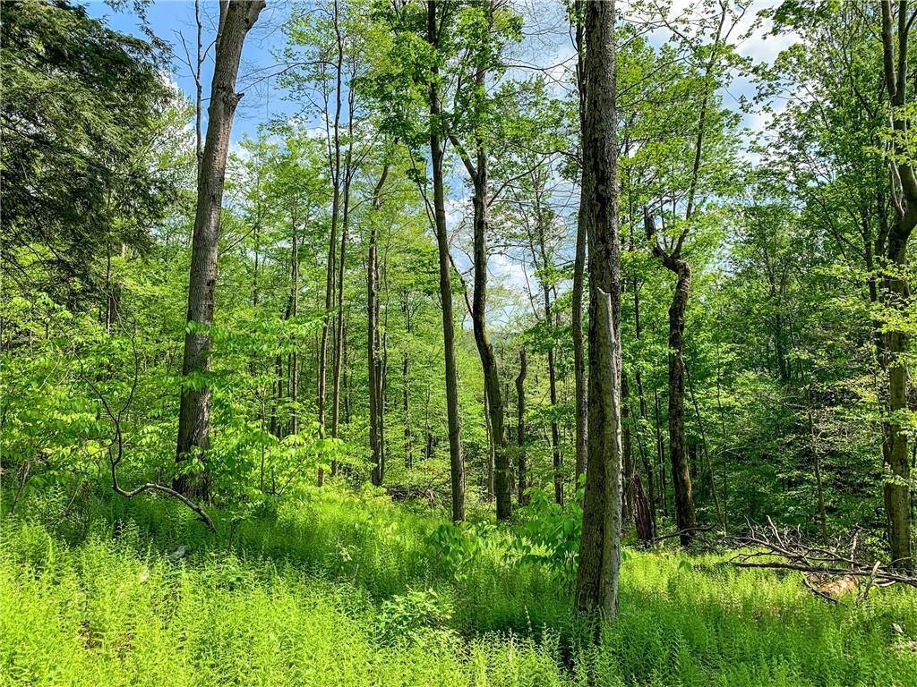 0 County Highway 44 Out of NYC Other, NY 13849