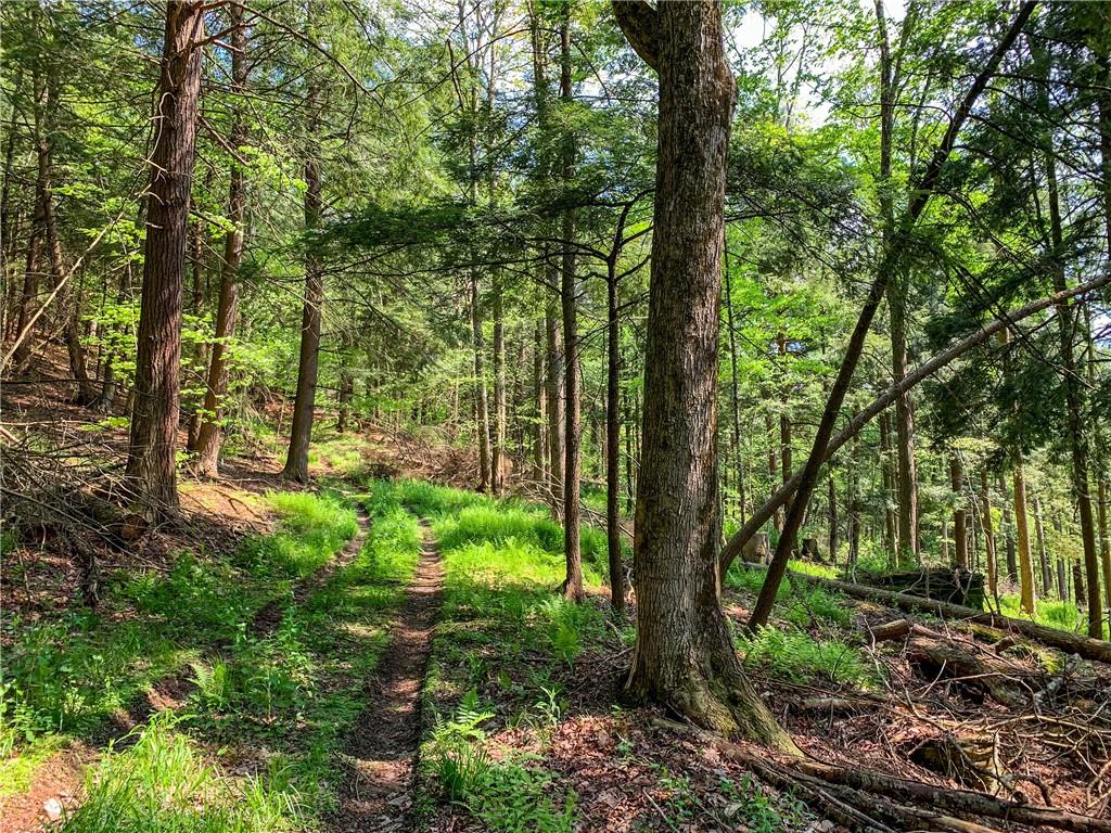 0 County Highway 44 Out of NYC Other, NY 13849