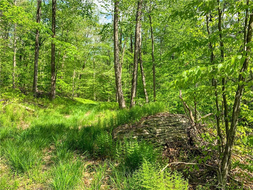 0 County Highway 44 Out of NYC Other, NY 13849